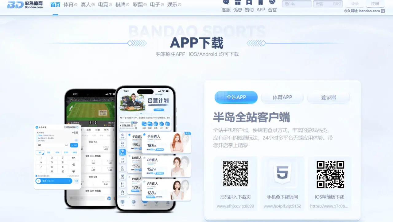 使用半岛体育 APP下载的注意事项