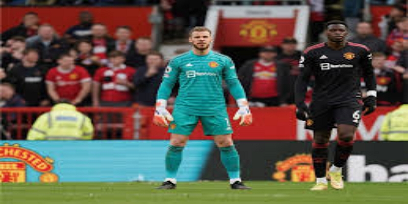 反思与启示：半岛体育给年轻球员的忠告 -半岛体育