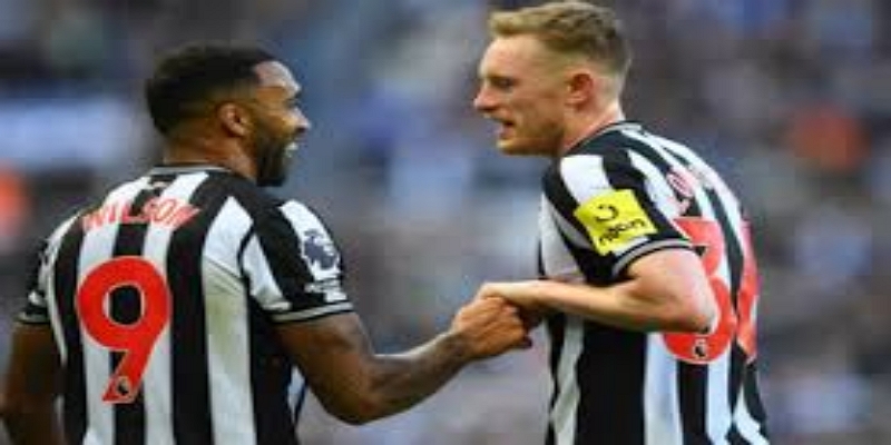 国家队前景与卡塔尔世界杯梦想-半岛体育