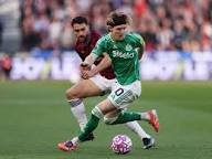 未来展望与职业目标-半岛体育