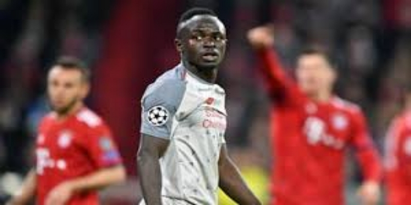 球员视角：梦想与现实的平衡专家观点与未来展望-半岛体育