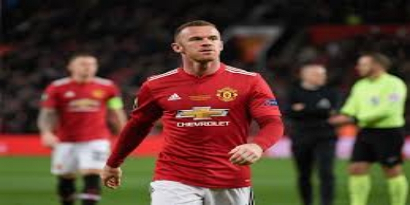 职业抉择三选一：半岛体育前景推演-半岛体育