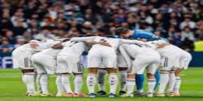 三大半岛体育观察焦点 -半岛体育