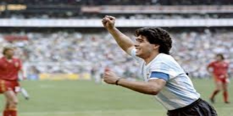 未来案件走向及可能影响 -半岛体育